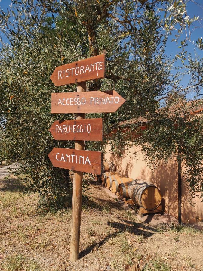 Podere Borgaruccio Peccioli Exterior photo