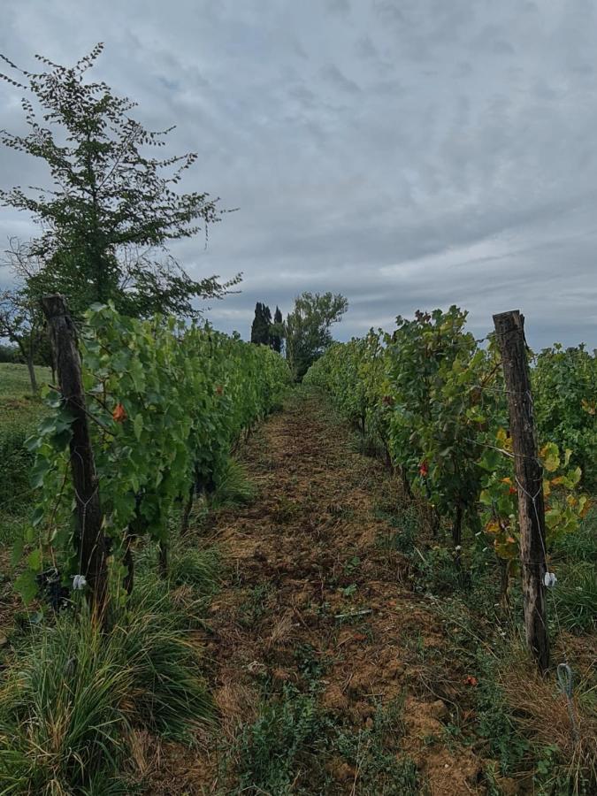 Podere Borgaruccio Peccioli Exterior photo